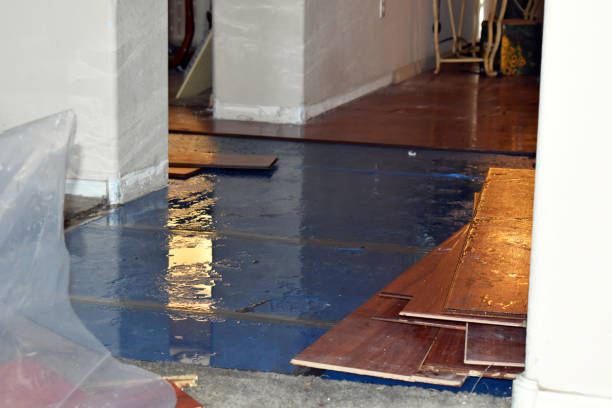 Professional Flood Cleanup technician working in Okeana, OH